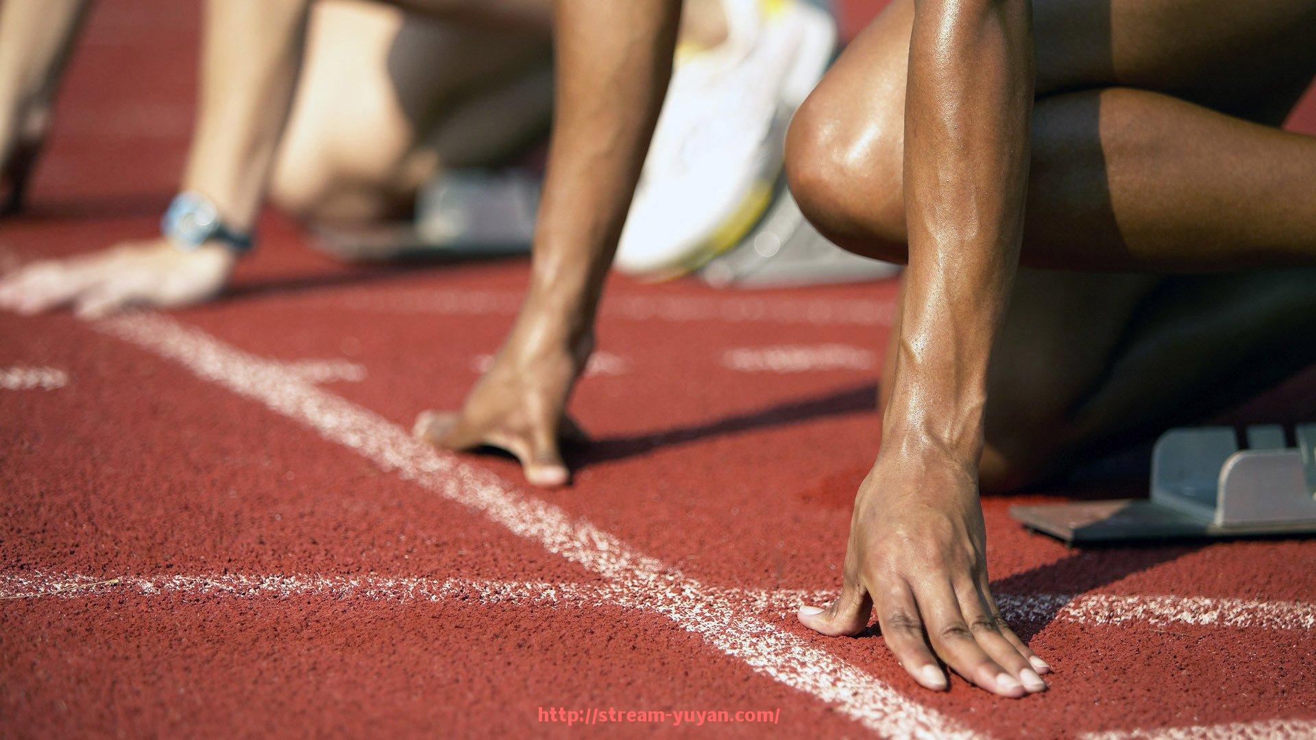 雨燕直播-沈阳康乐佳健身器材品牌产品推荐及市场表现